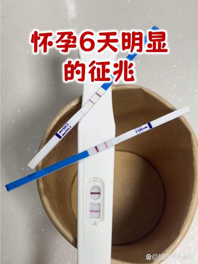 验孕棒：从家庭必备到科学检测的革新